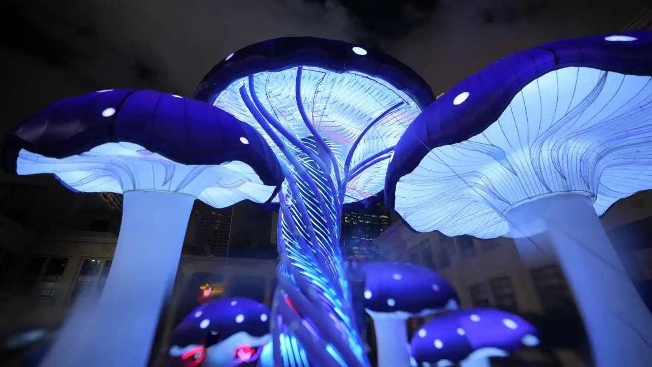 20240923150528_7271_1279x720