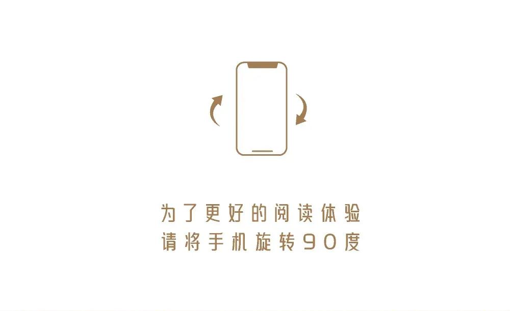 20241213113622_8951