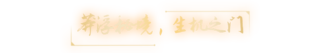 20241224131236_5898