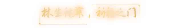 20241224131237_1081