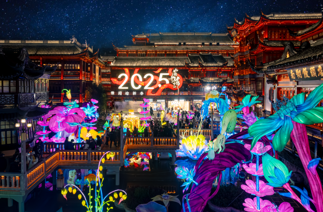20250113111300_2049
