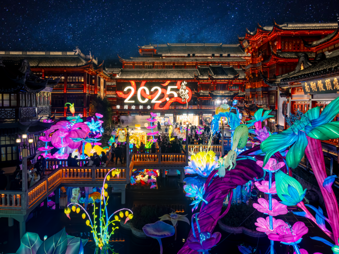 20250224111940_4257